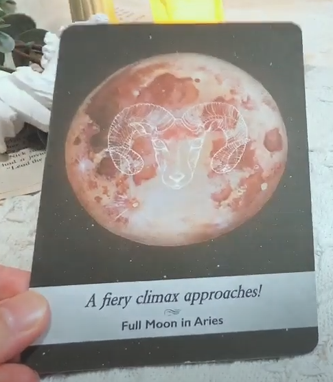 풀문(FullMoon) 이미지
