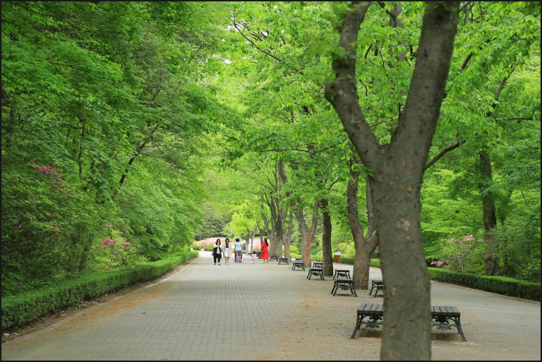 국립수목원 이미지