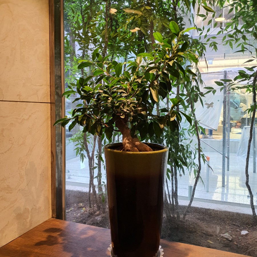SOL NAIL 이미지