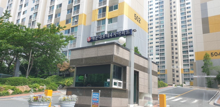 비디오 이미지
