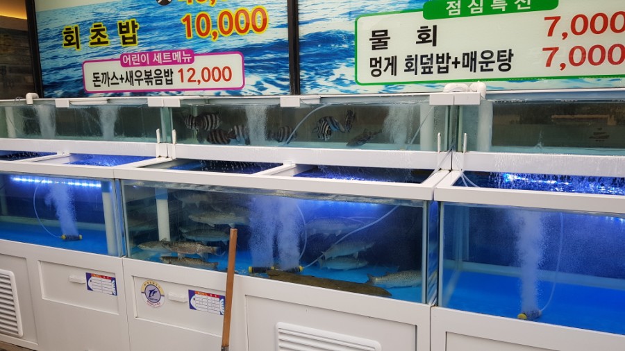 람바다횟집 이미지