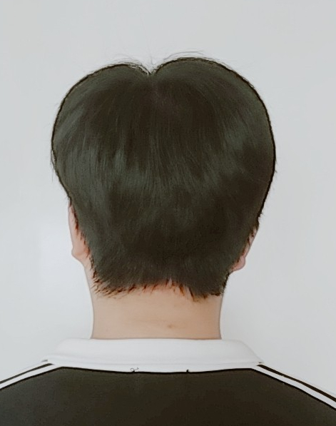 이스텔라헤어포맨 이미지
