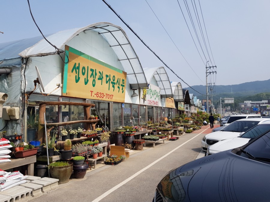 서이천농원 이미지