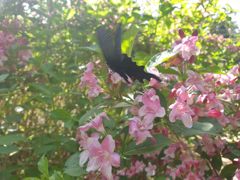 구례수목원 유아숲체험원 이미지