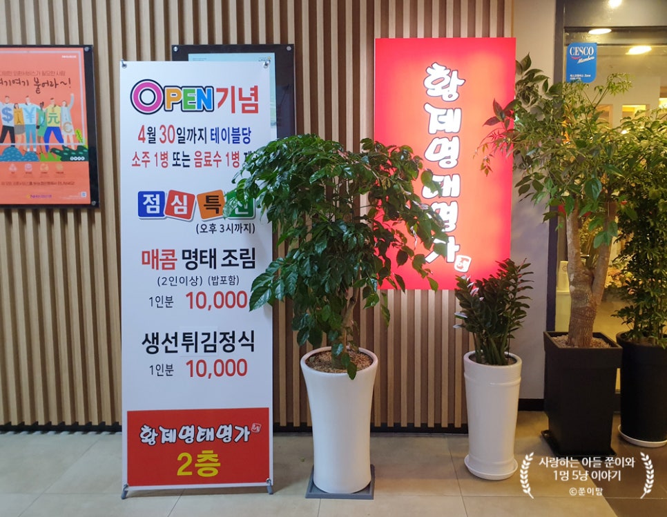 황제명태명가 이미지