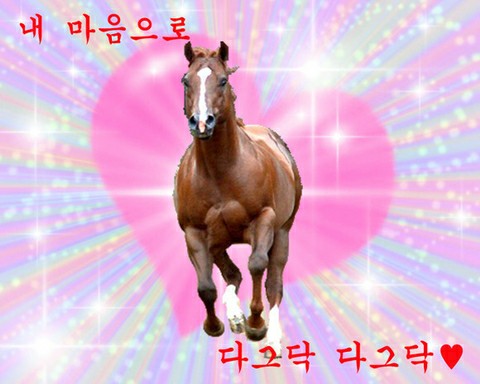 광주닭집 이미지