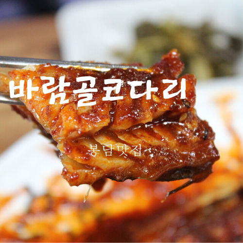 바람골코다리 이미지