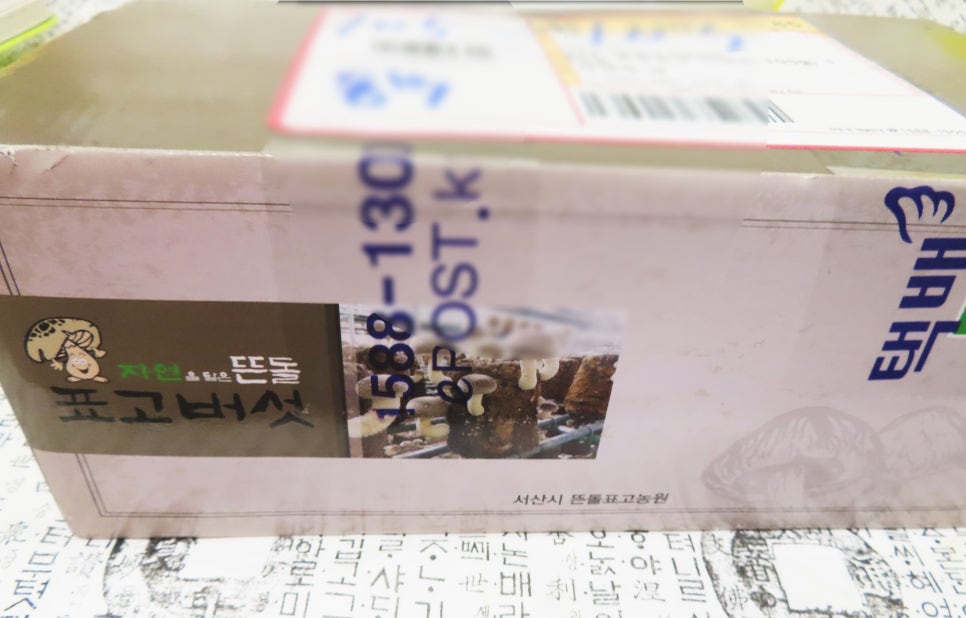 뜬돌농원 이미지