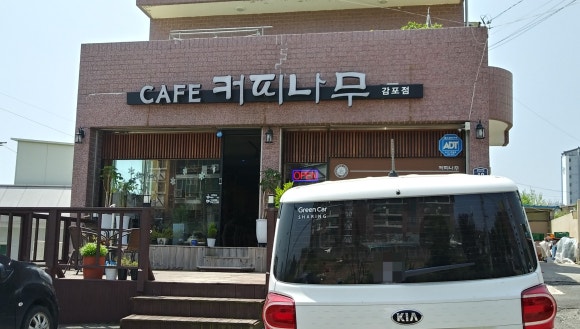 카페트리커피나무 이미지