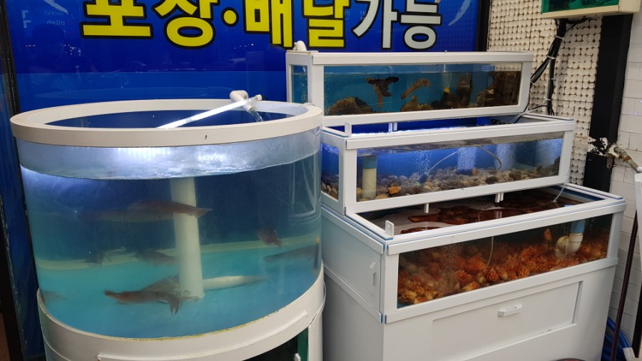 람바다횟집 이미지