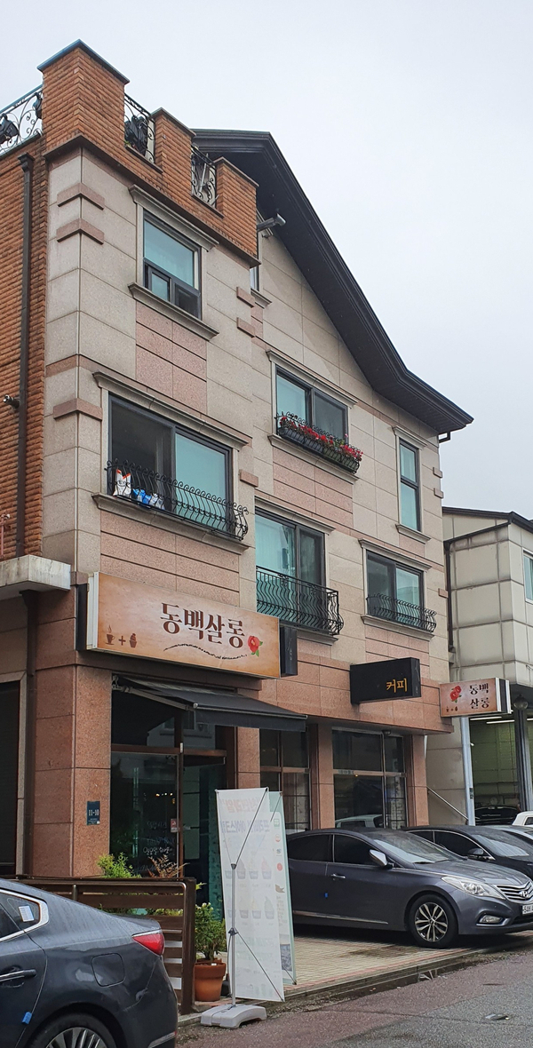 동백살롱 이미지