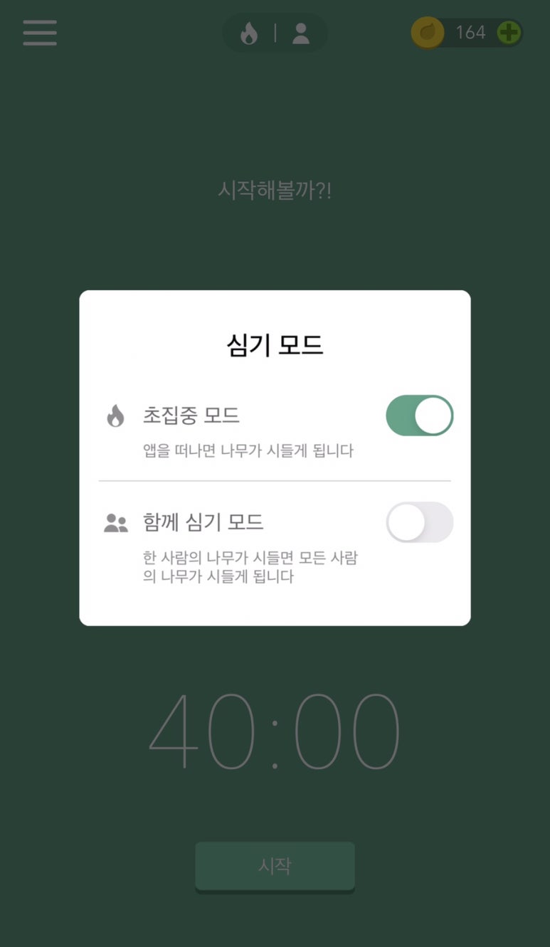 포레스트(forest) 이미지