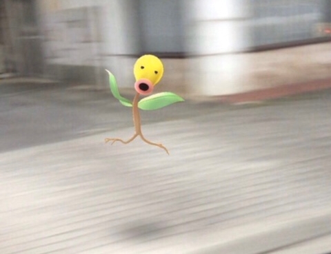 라라속눈썹 이미지