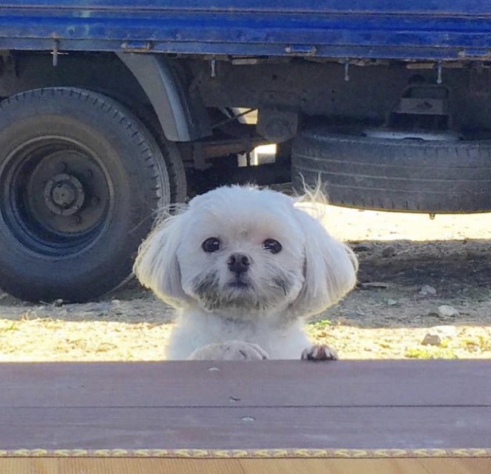 놀숲북카페 이미지