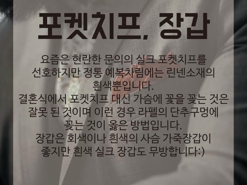 베르노비아 이미지