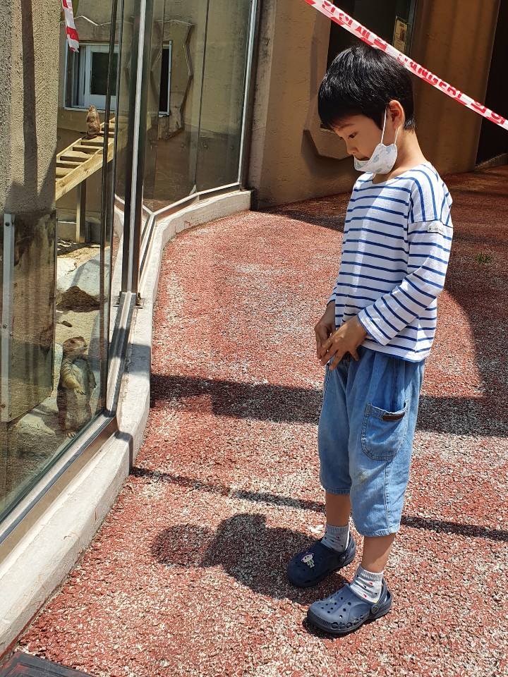 조아인력 이미지