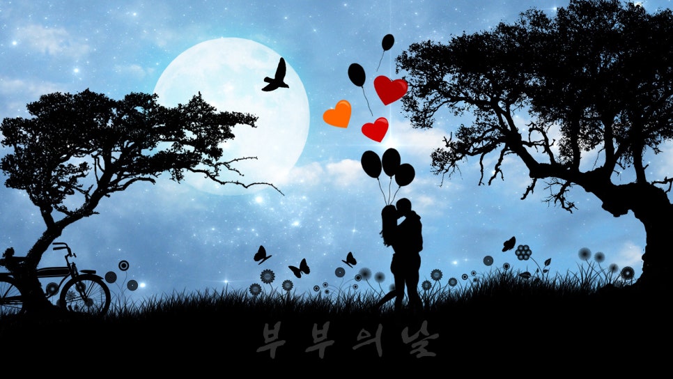 사랑문구 이미지