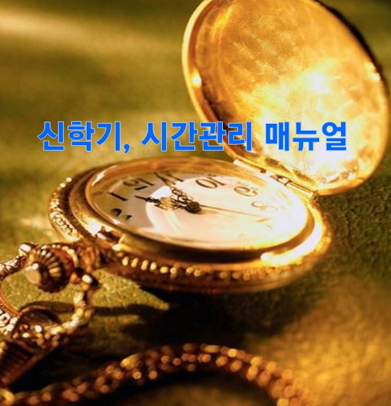 메타교육컨설팅연구소 이미지