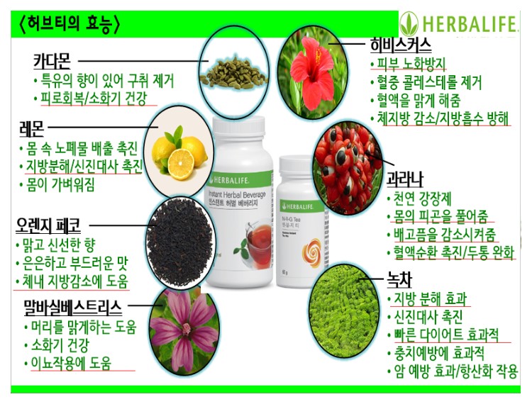 로즈비점핑다이어트 이미지