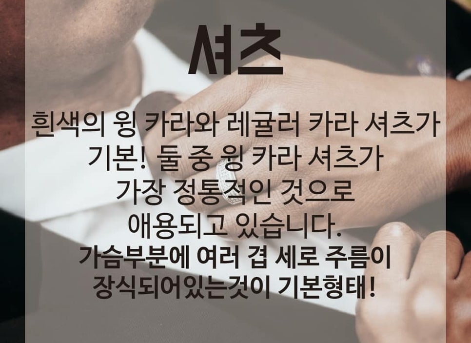 베르노비아 이미지