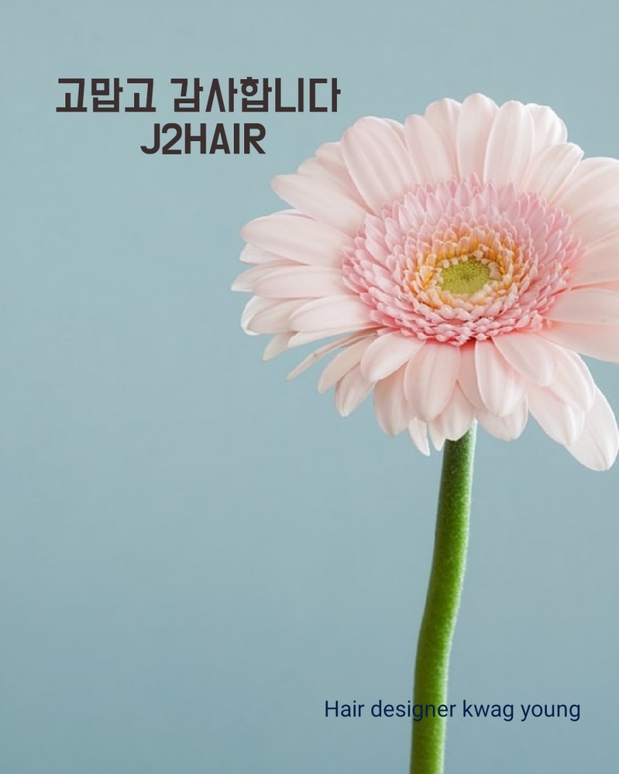 J2HAIR 이미지