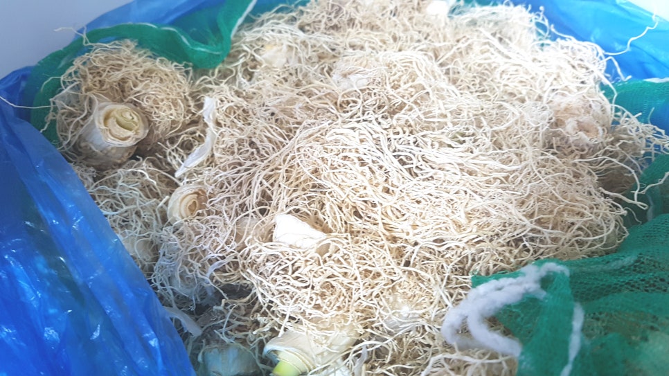 중앙닭발 이미지