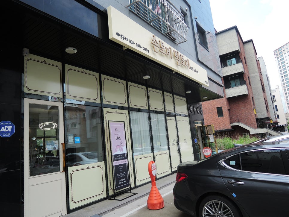 손토비발토비 이미지