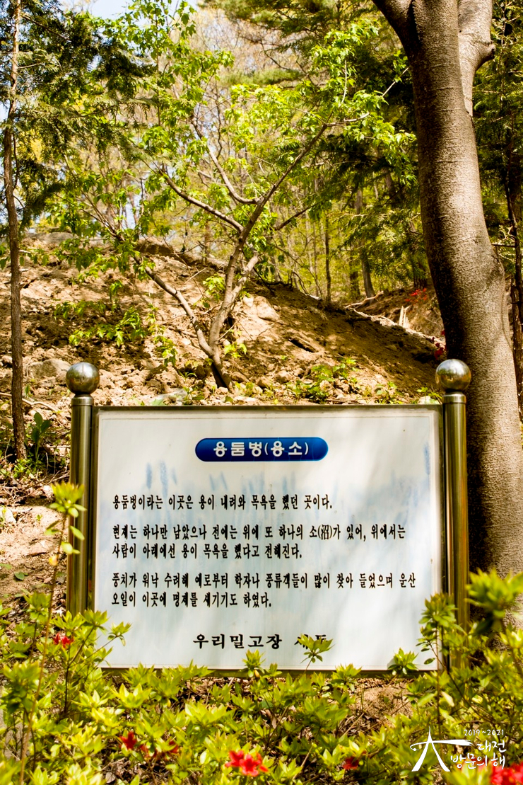 세동푸드 이미지