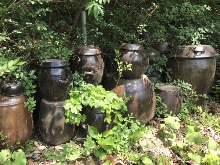 바람의노래식당 이미지