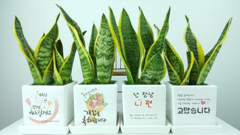 아이템조아 이미지