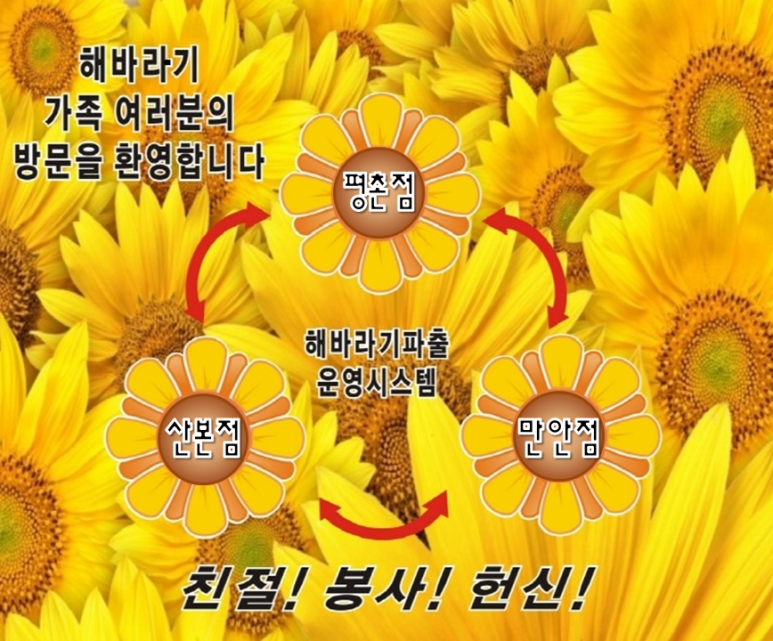 해바라기파출 이미지