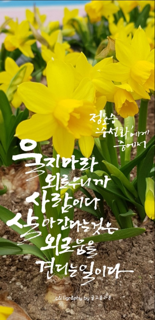 고운글 이미지