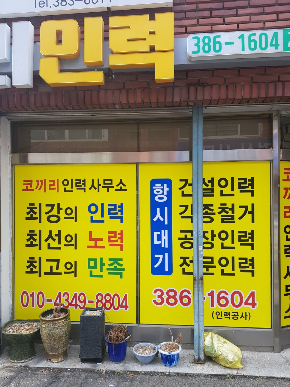 코끼리인력 이미지