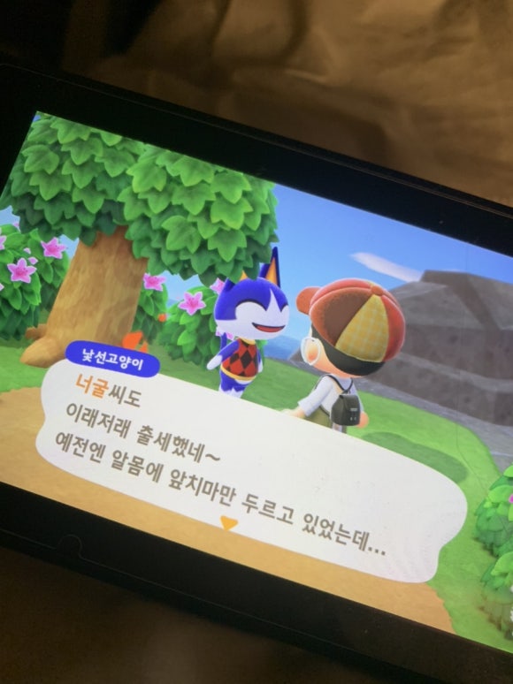 디엔피씨 이미지