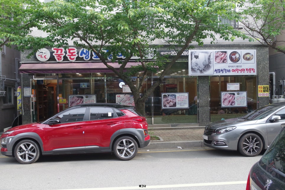 꿀꿀돈돈 이미지