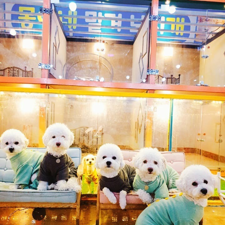 몽이네일 이미지