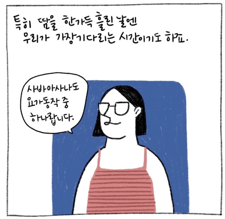 사바아사나 이미지