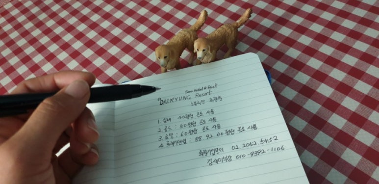 골드별장 이미지