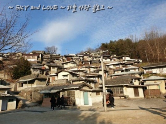 95연대(2대대) 이미지