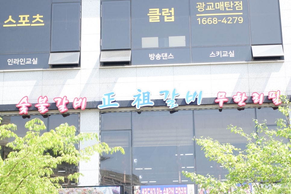 고기의기억 이미지