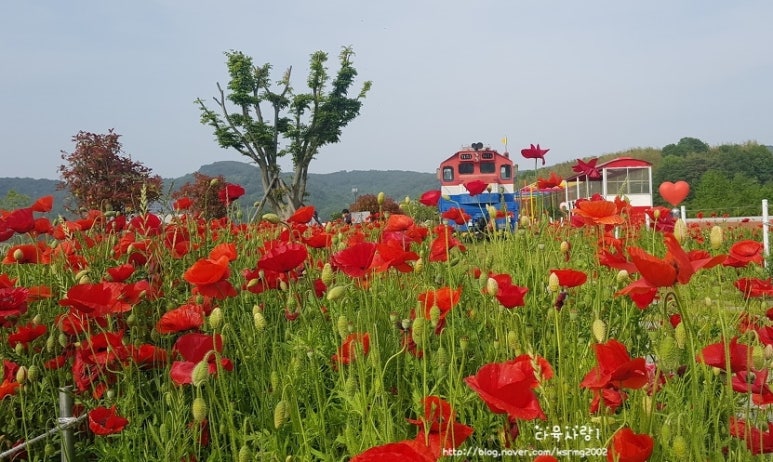 참새미커피 이미지