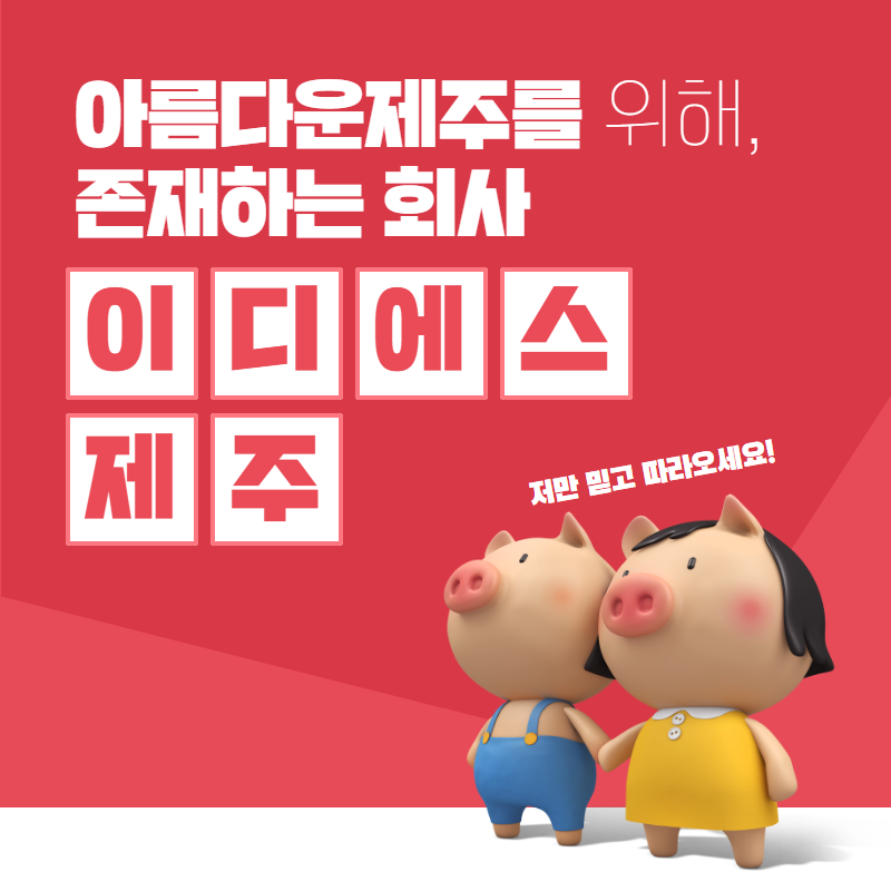 이디에스 이미지