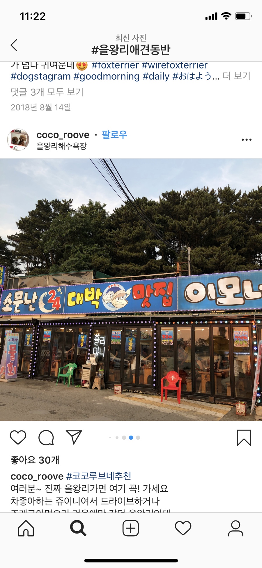뚱이이모네 이미지