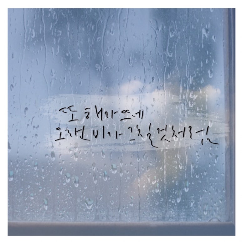 비가와 이미지