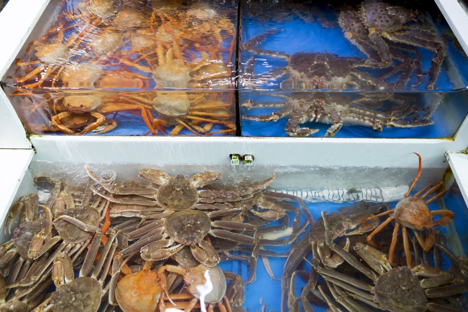 고성군수산업협동조합 이미지