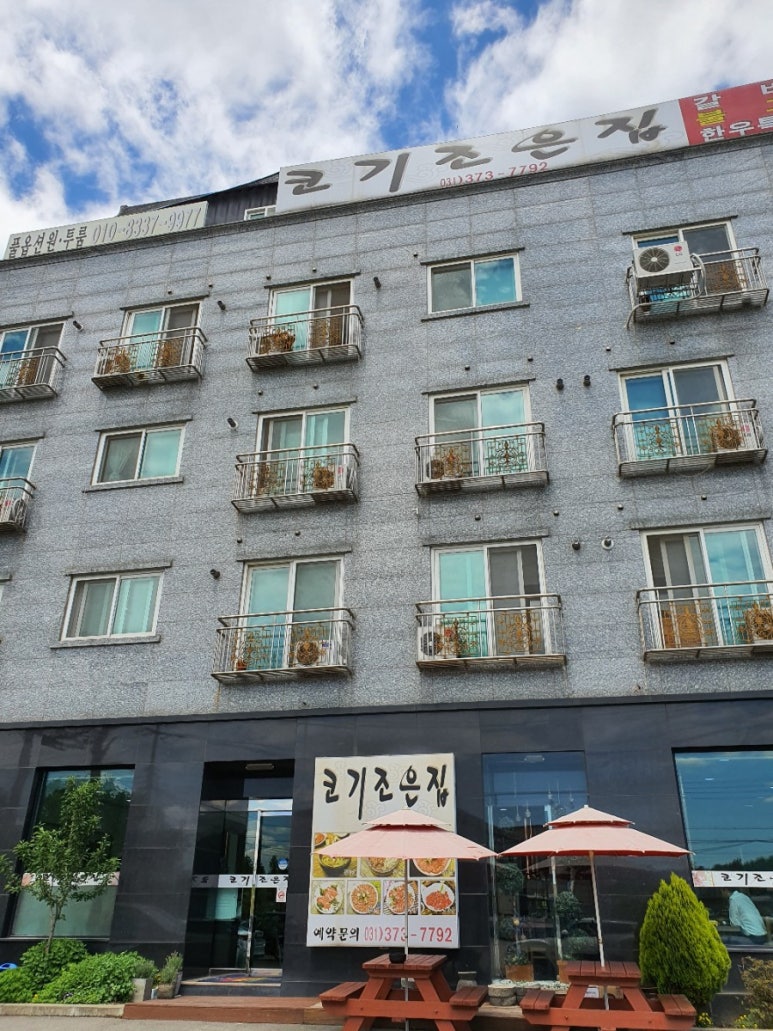 코기조은집 이미지
