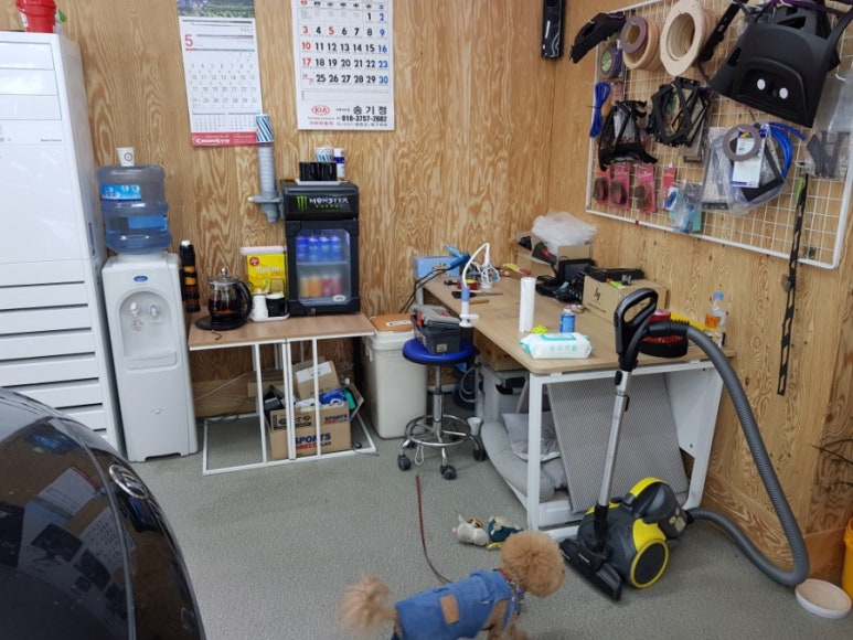 디에스카오디오 이미지
