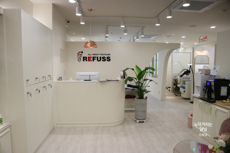 레푸스&피오레네일 이미지
