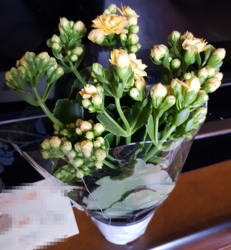 중앙꽃화원 이미지