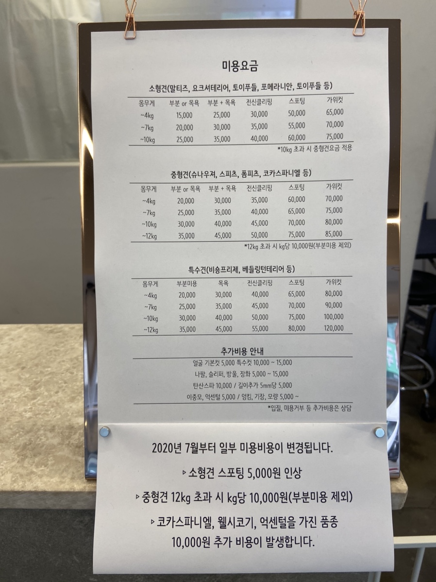 춘살롱 이미지